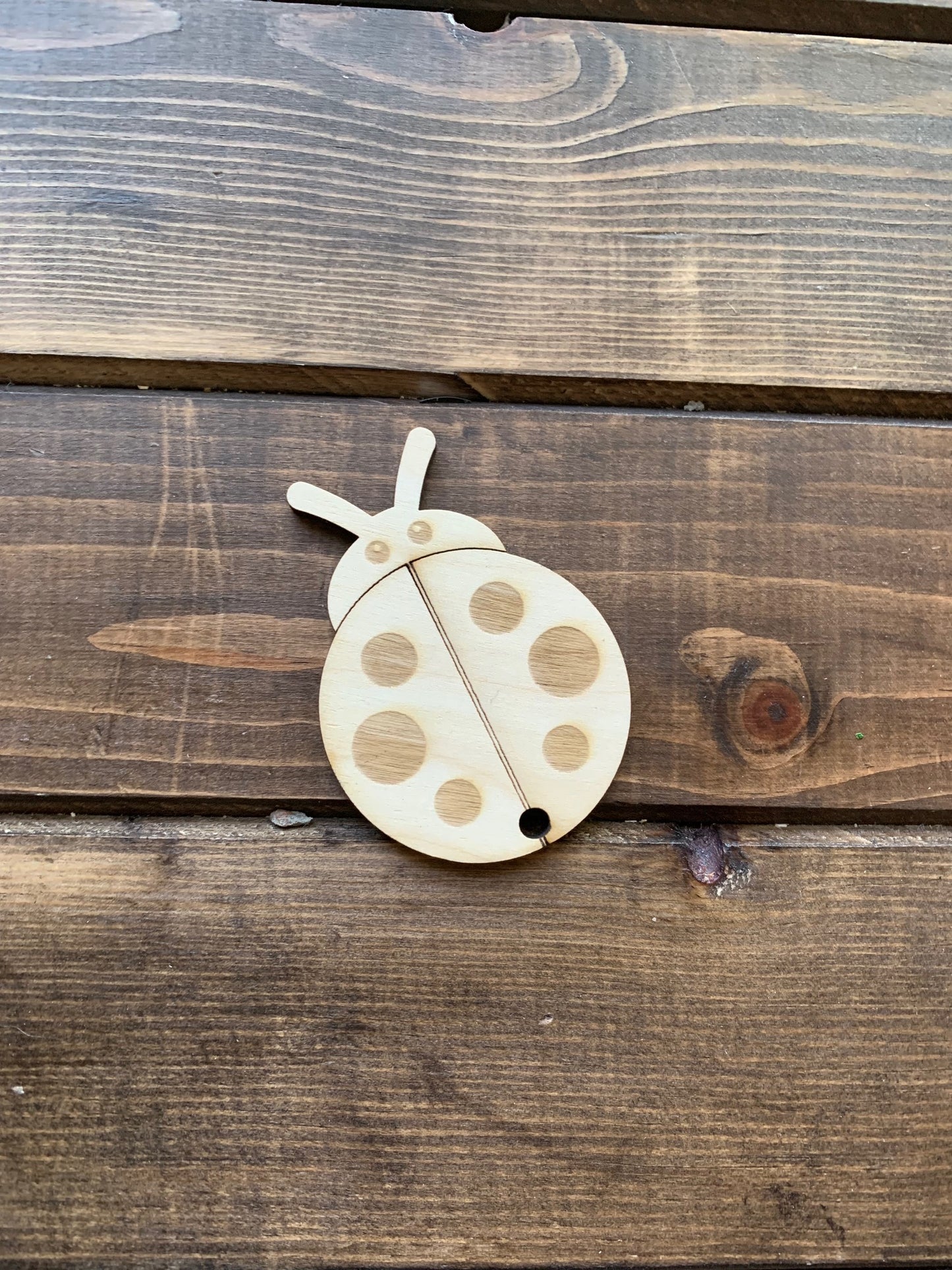 Ladybug Wood Blank image 0